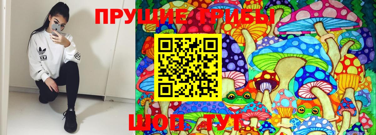 Псилоцибиновые грибы Psilocybine cubensis Архангельск